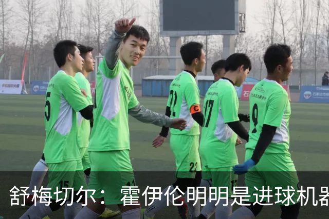 舒梅切尔：霍伊伦明明是进球机器，维韦尔来了偏要换成谢什科
